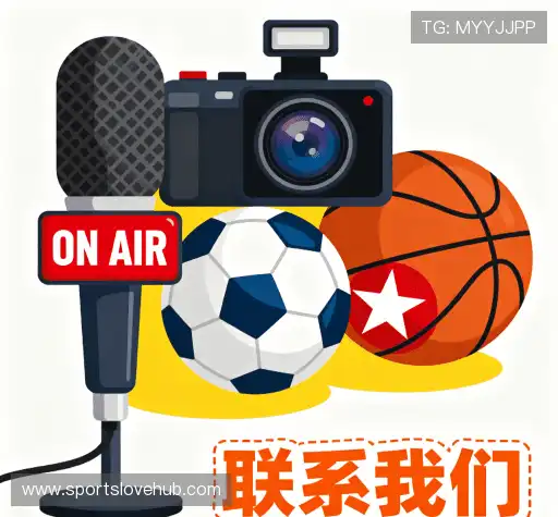 接洽比赛分析